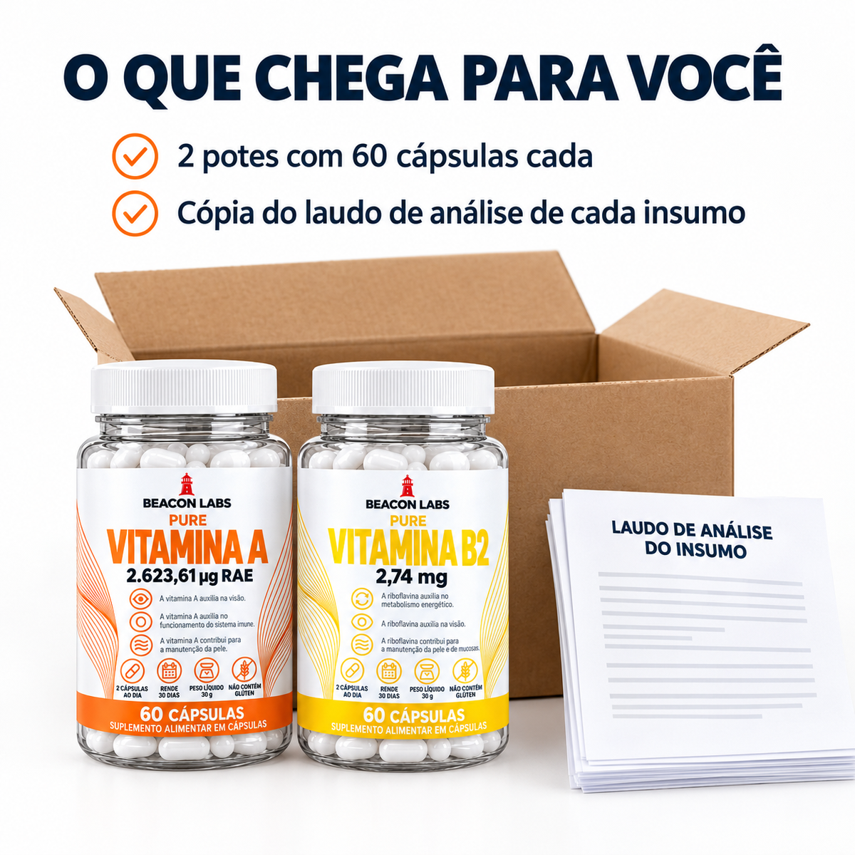 Combo Vitaminas A e B2 – o que chega: os itens e a cópia do laudo de cada insumo