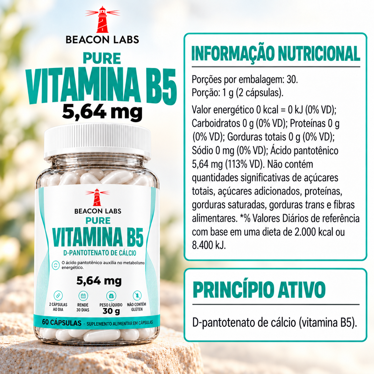 Pure Vitamina B5 Ácido Pantotênico 5,64mg – tabela ingredientes