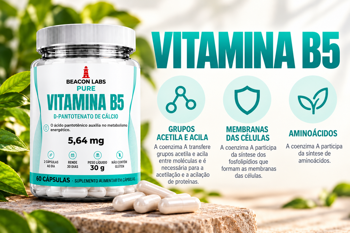 Pure Vitamina B5 Ácido Pantotênico 5,64mg – cards vitc