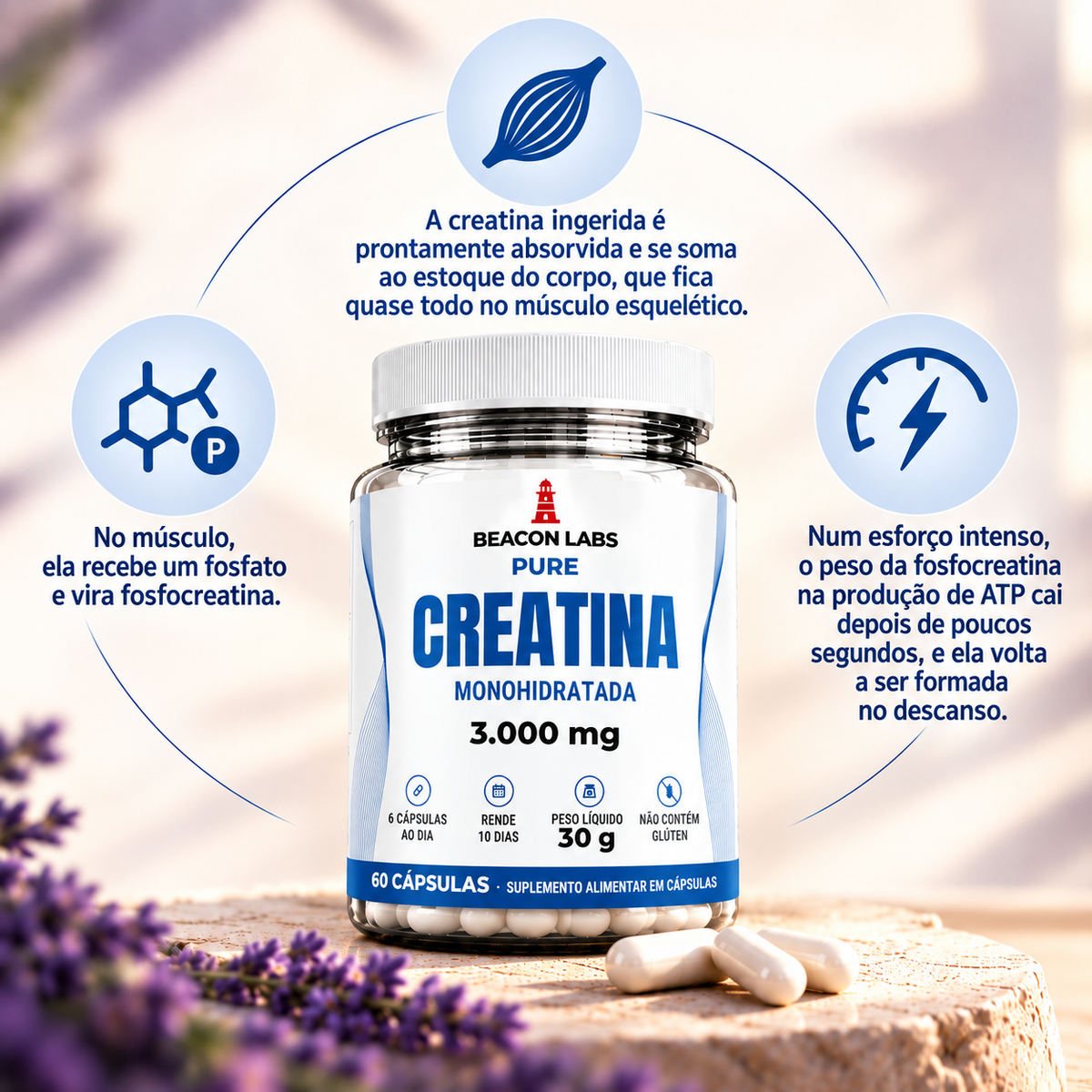 Pure Creatina Monohidratada 1000mg – anel melatonina