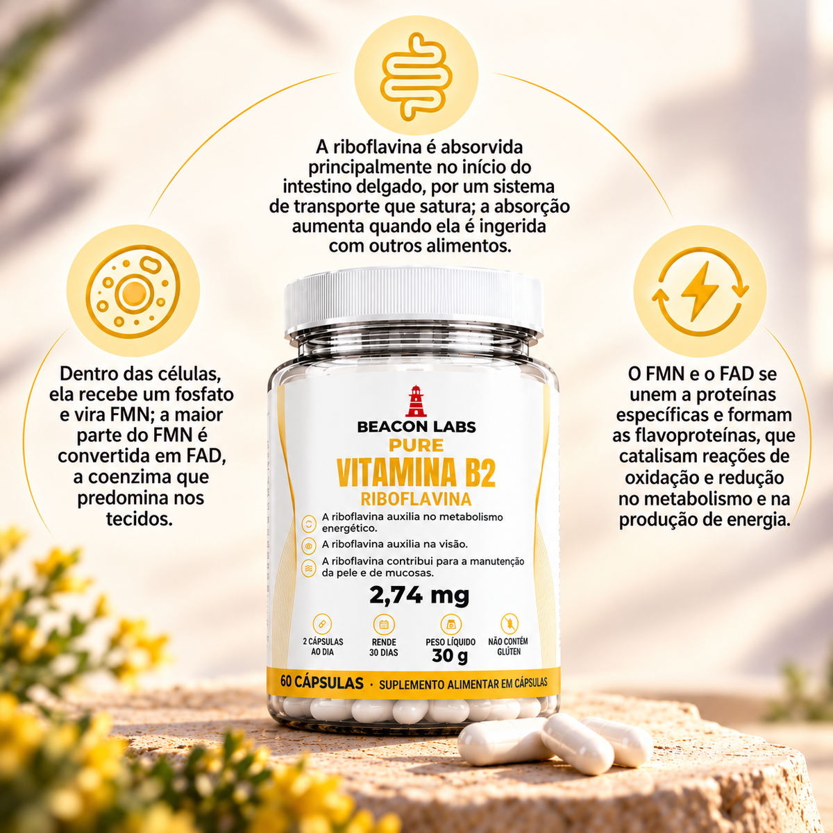 Pure Vitamina B2 Riboflavina 2,74mg – anel melatonina