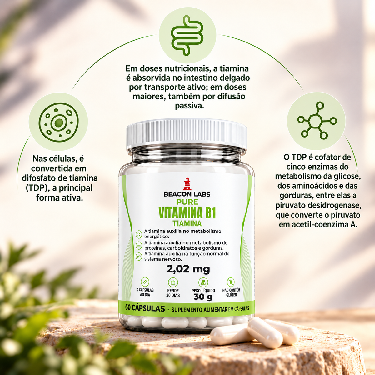 Pure Vitamina B1 Cloridrato de Tiamina 2,02mg – anel melatonina