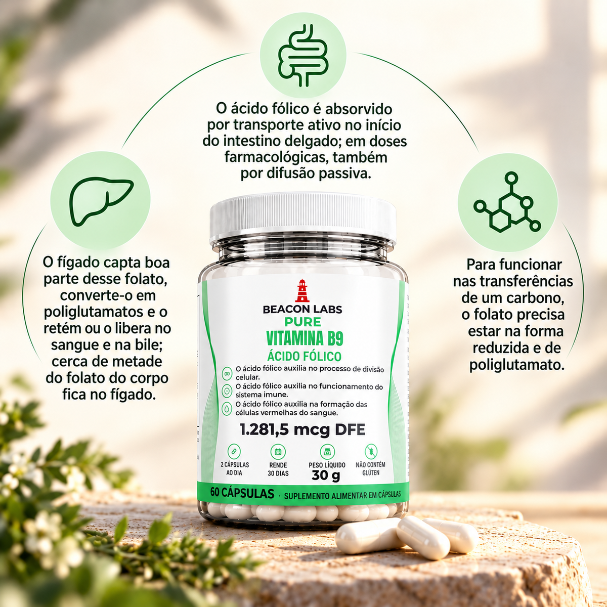 Pure Vitamina B9 Ácido Fólico 1.281,5mcg DFE – anel melatonina