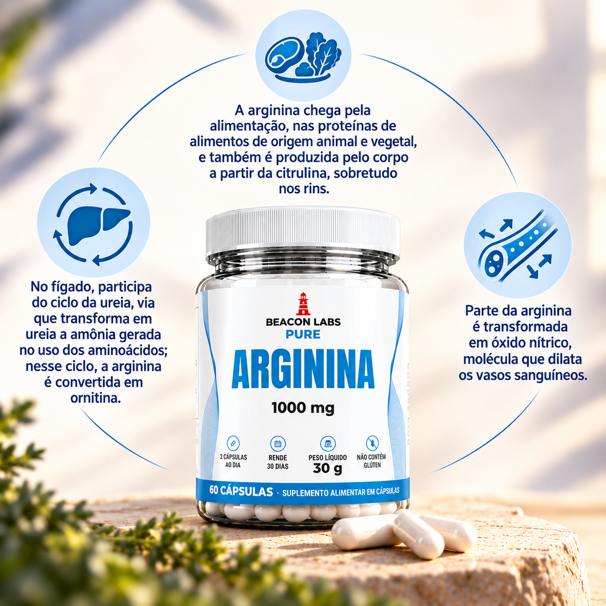 Pure L-Arginina 1000mg – anel melatonina