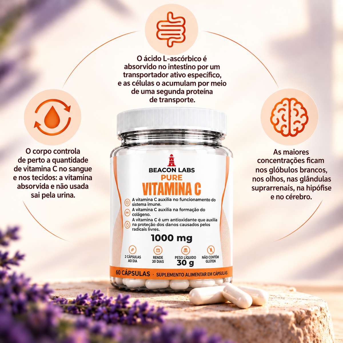 Pure Vitamina C Ácido Ascórbico 1000mg – anel melatonina