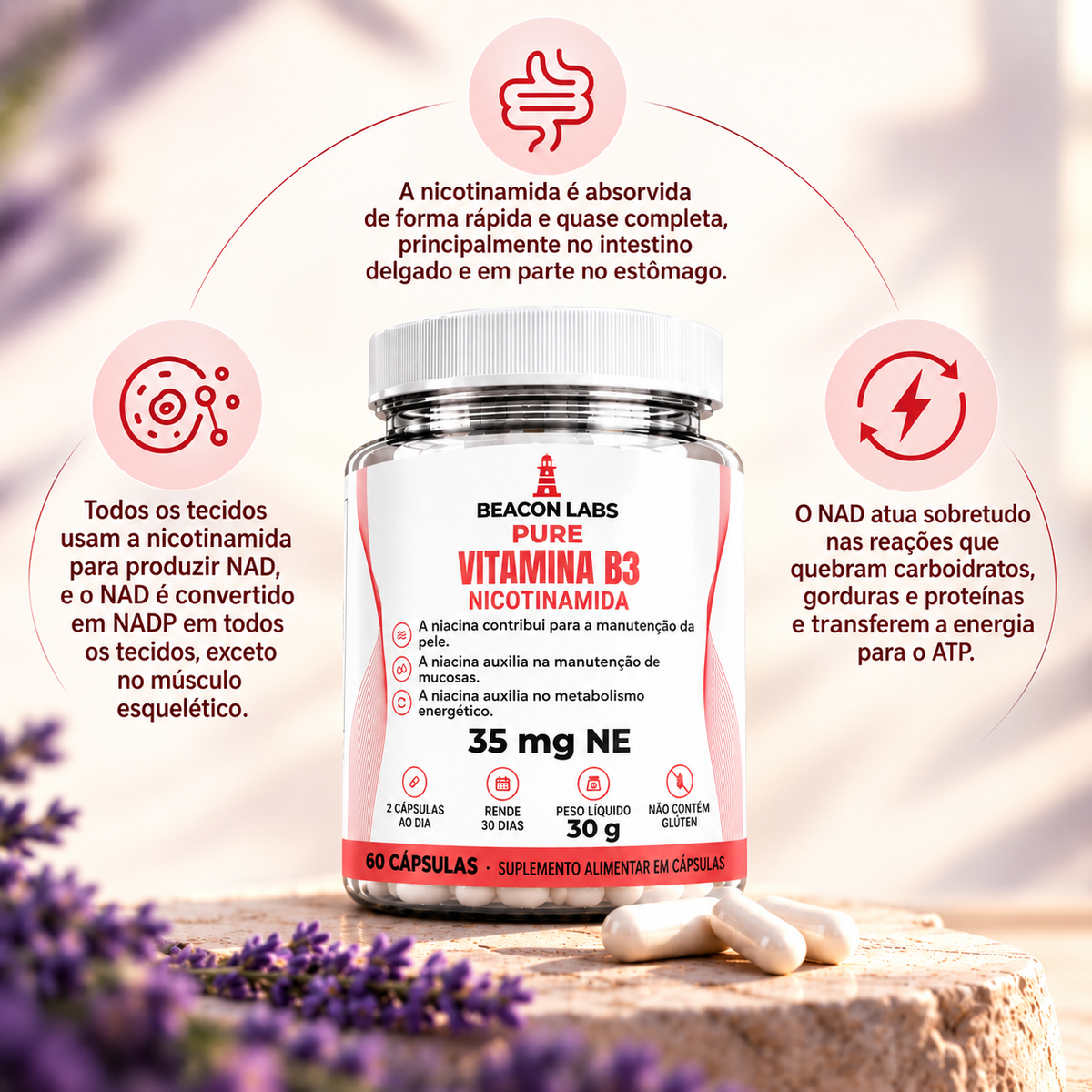 Pure Vitamina B3 Niacina Niacinamida 35mg NE – anel melatonina