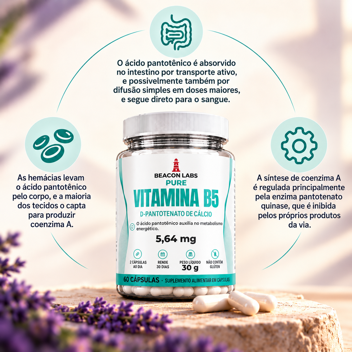 Pure Vitamina B5 Ácido Pantotênico 5,64mg – anel melatonina