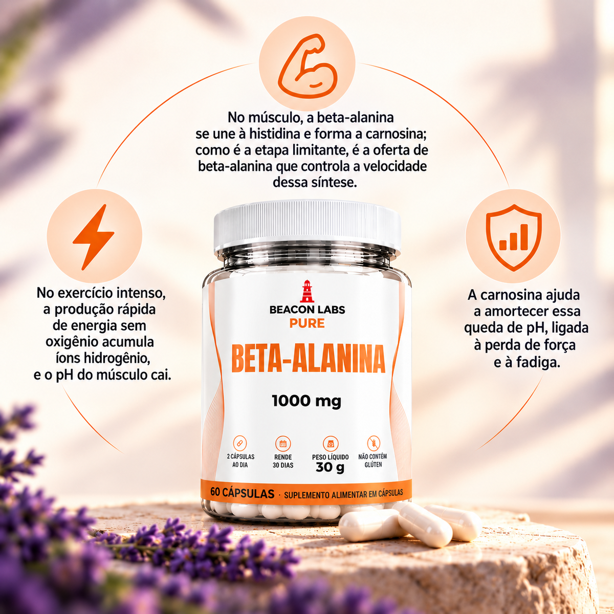 Pure Beta-Alanina 300mg – anel melatonina