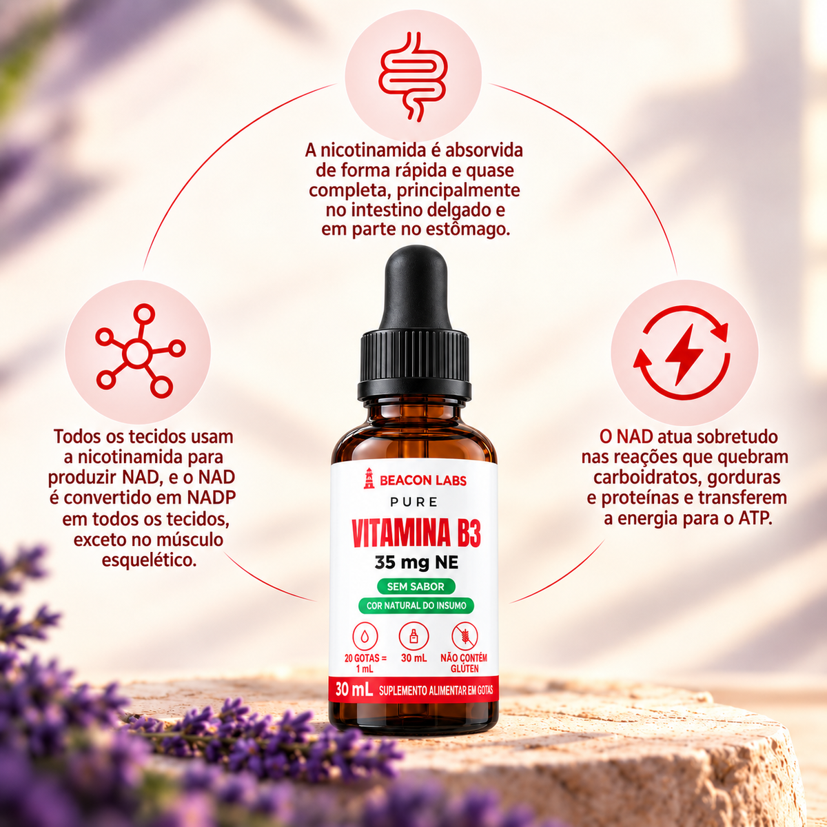 Pure Vitamina B3 Niacina Nicotinamida 35mg NE – anel melatonina