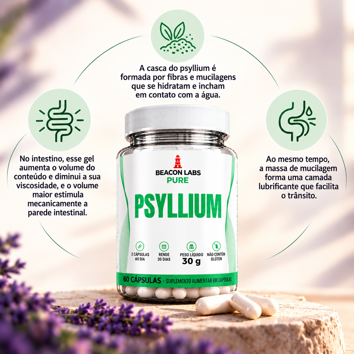 Pure Psyllium Plantago Ovata Casca da Semente – anel melatonina