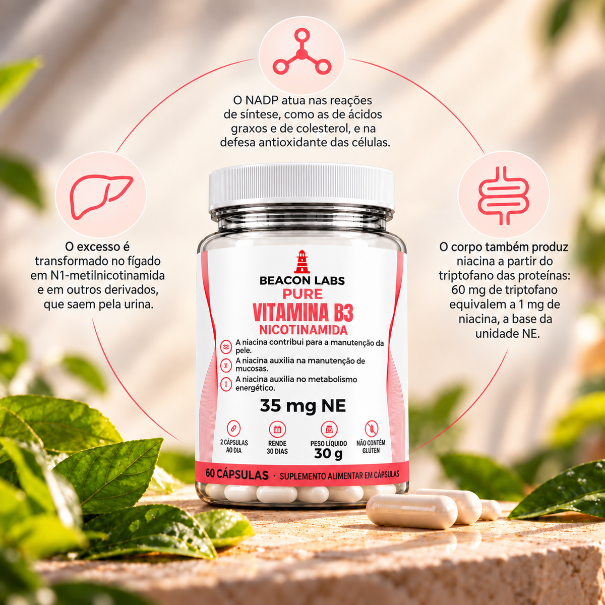 Pure Vitamina B3 Niacina Niacinamida 35mg NE – anel vitc