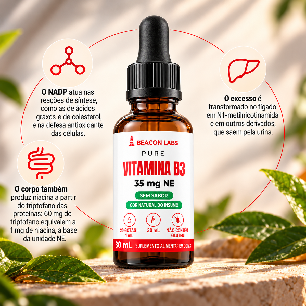 Pure Vitamina B3 Niacina Nicotinamida 35mg NE – anel vitc