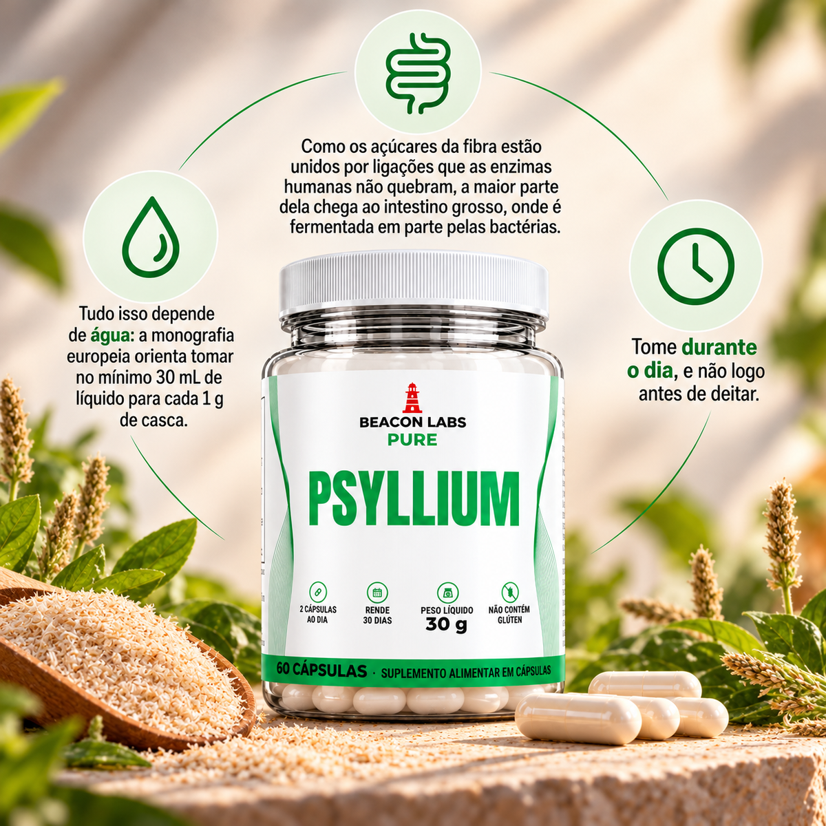 Pure Psyllium Plantago Ovata Casca da Semente – anel vitc