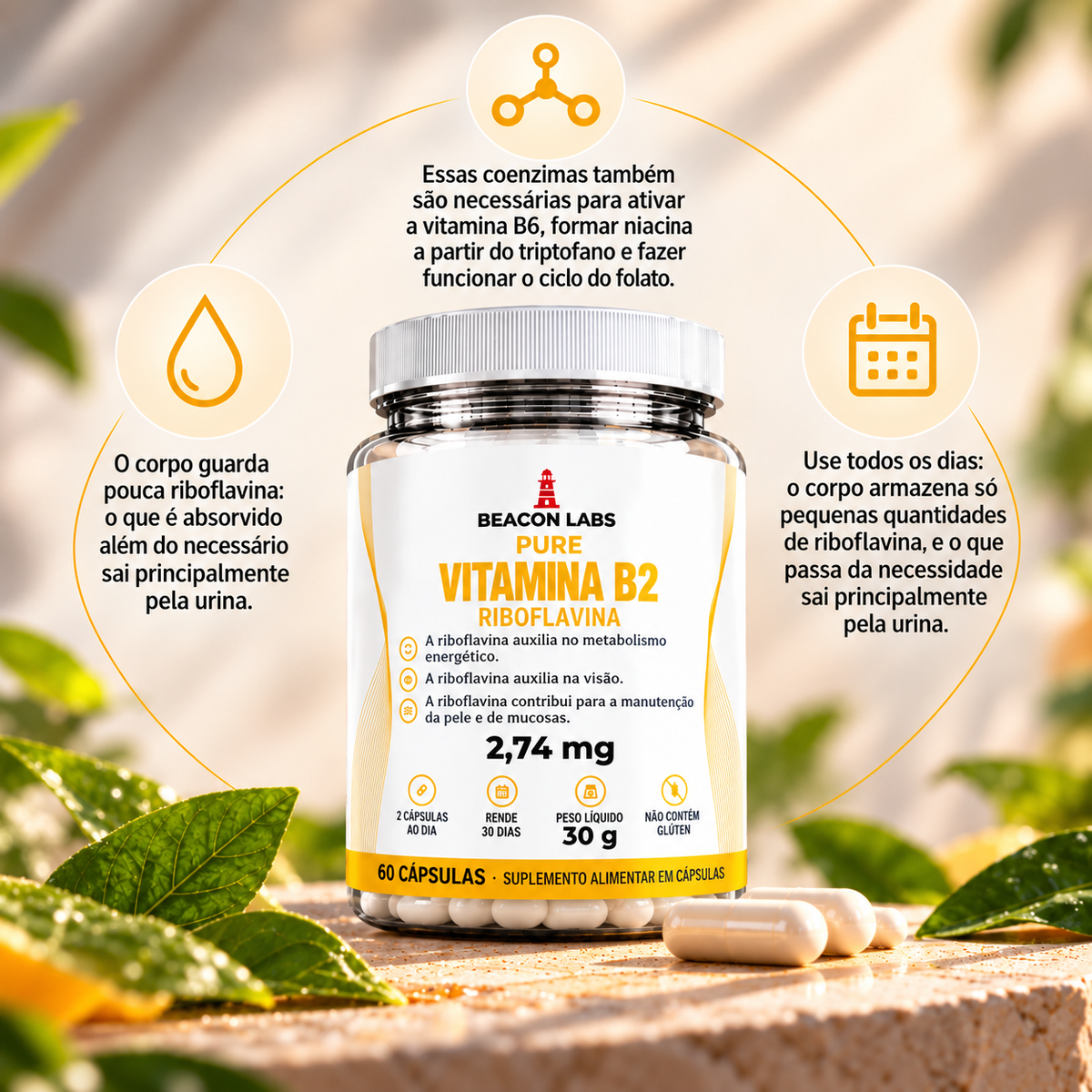 Pure Vitamina B2 Riboflavina 2,74mg – anel vitc