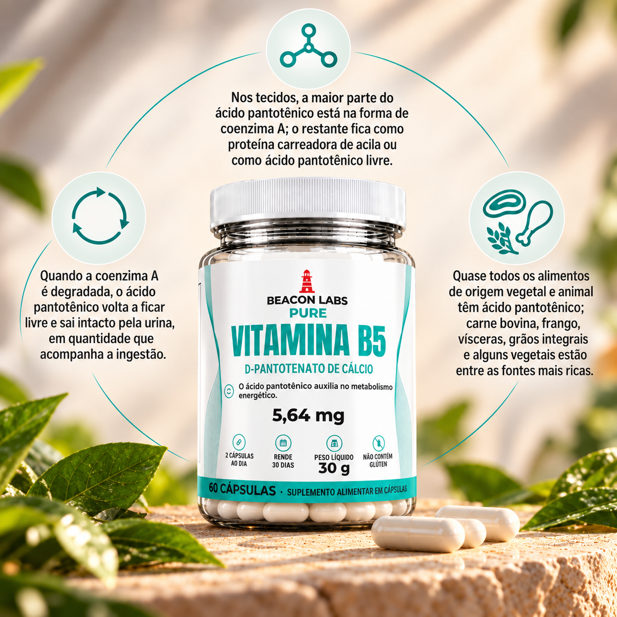 Pure Vitamina B5 Ácido Pantotênico 5,64mg – anel vitc
