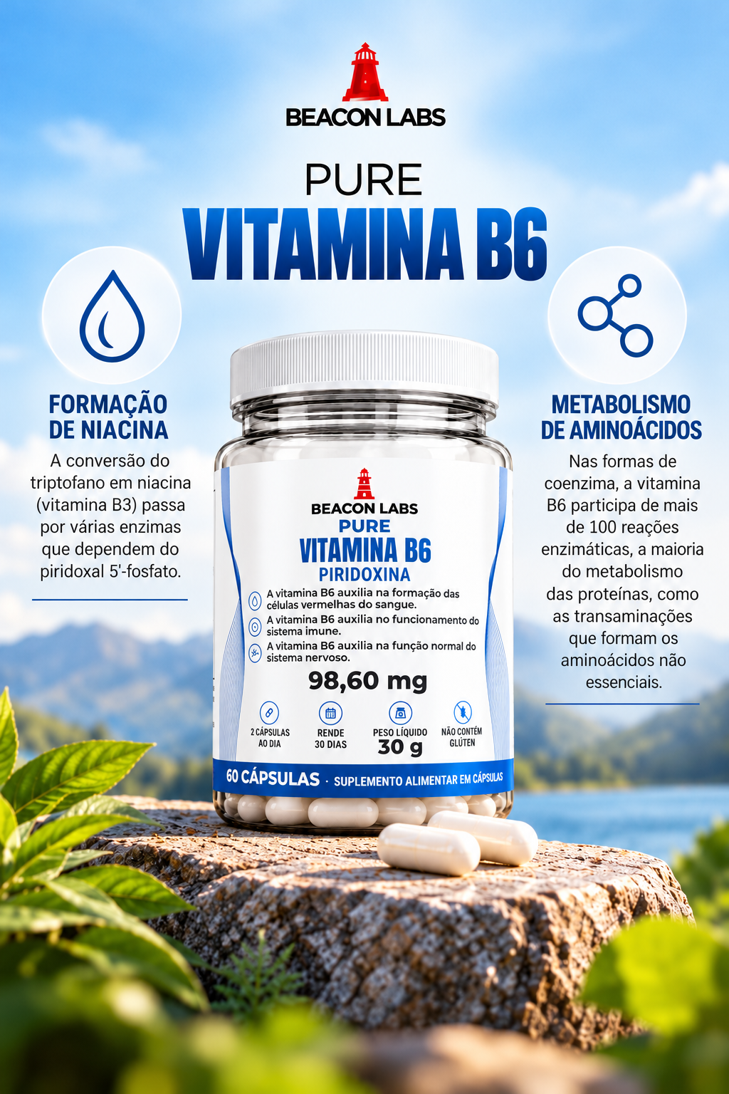 Pure Vitamina B6 Cloridrato de Piridoxina 98,60mg – grade vertical